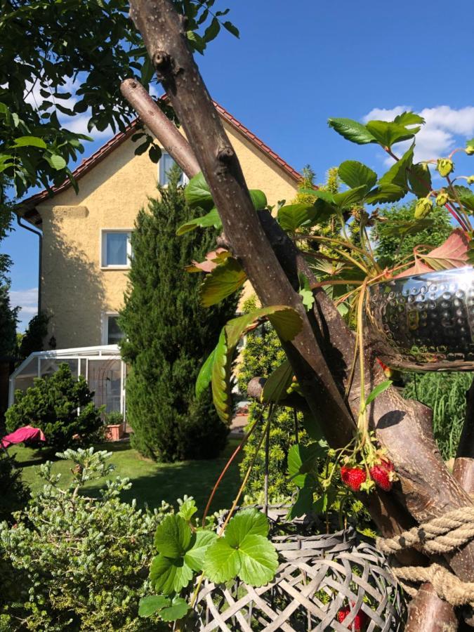 Pension Haus Bielke Berlino Esterno foto